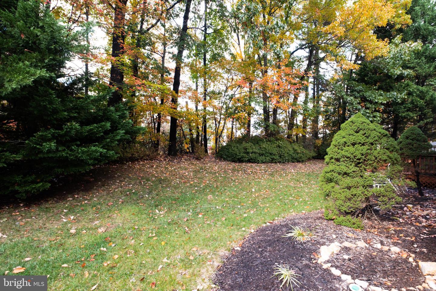 Fairfax Station, Virginia, 22039, United States, 4 Bedrooms Bedrooms, ,4 BathroomsBathrooms,Residential,Active,1988427