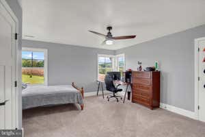 Property 36