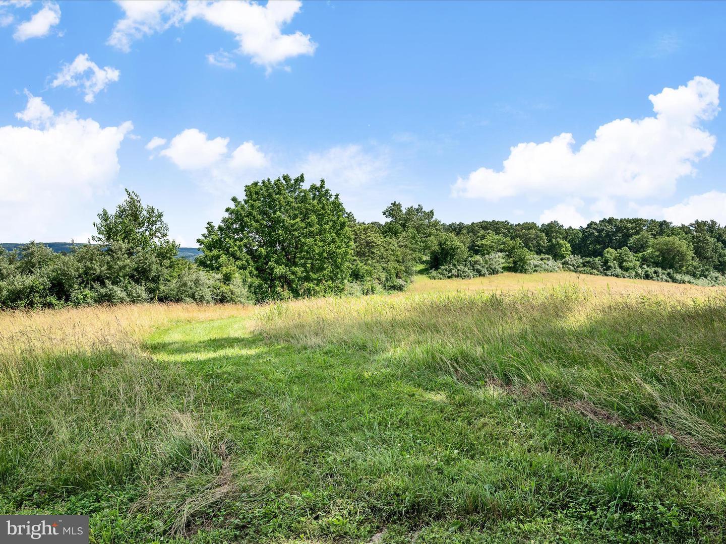 Berryville, Virginia, 22611, United States, 4 Bedrooms Bedrooms, ,3 BathroomsBathrooms,Residential,Active,1884871
