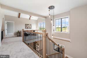 Property 37