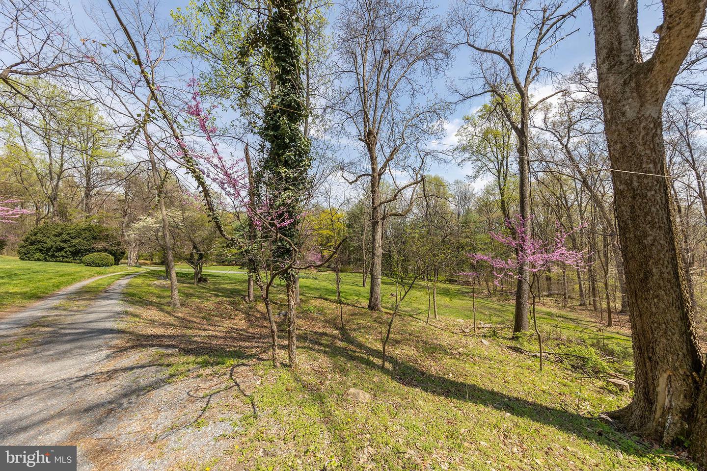 Winchester, Virginia, 22602, United States, 4 Bedrooms Bedrooms, ,4 BathroomsBathrooms,Residential,Active,2041509