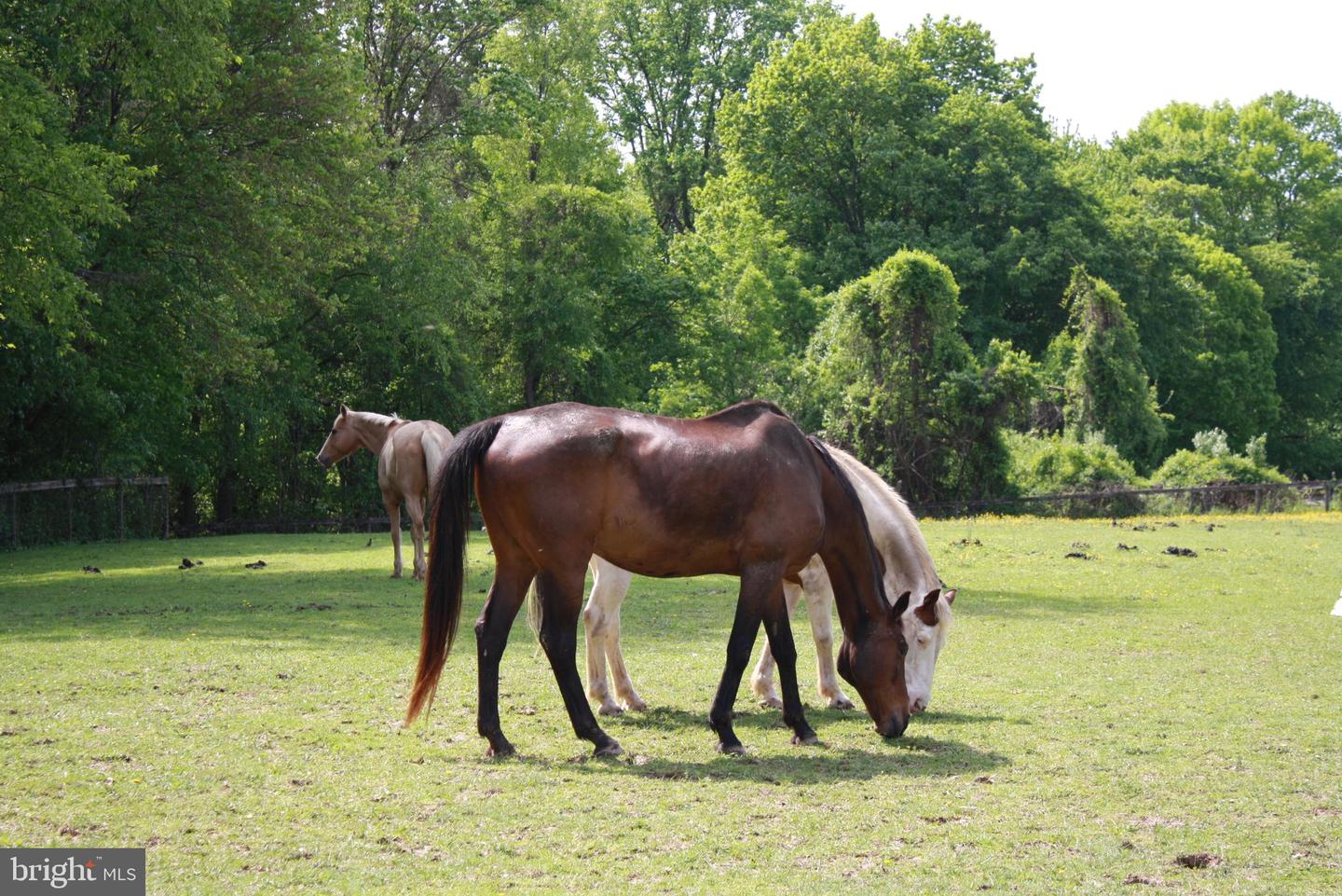 Coatesville, Pennsylvania, 19320, United States, 4 Bedrooms Bedrooms, ,5 BathroomsBathrooms,Residential,Active,1771463