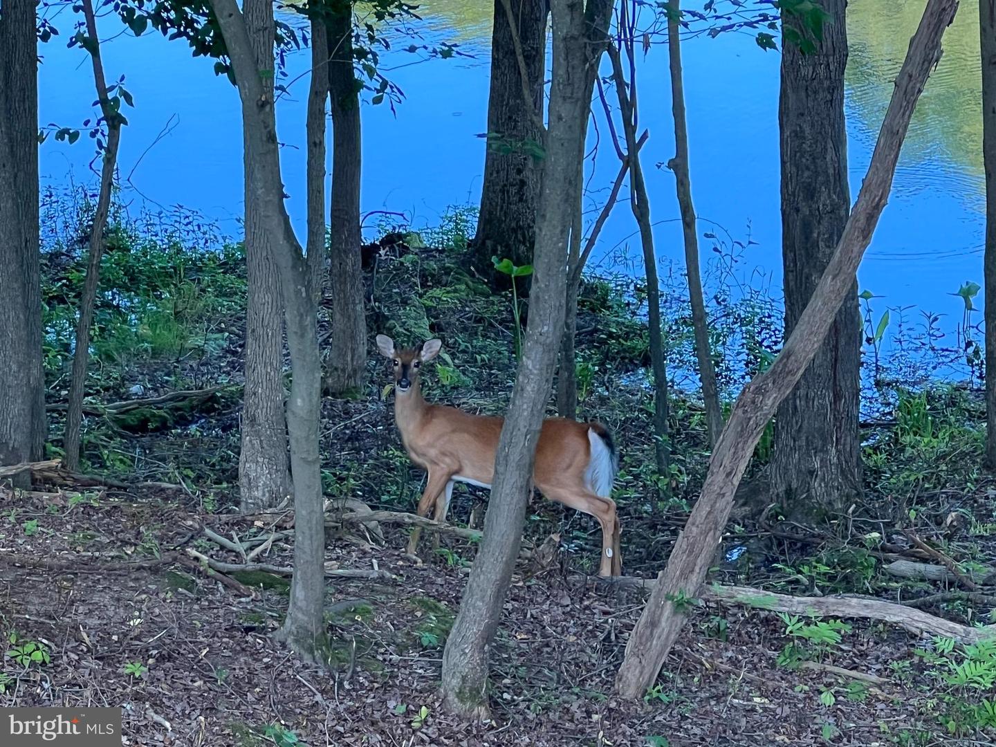 Pasadena, Maryland, 21122, United States, 6 Bedrooms Bedrooms, ,6 BathroomsBathrooms,Residential,Active,2006889