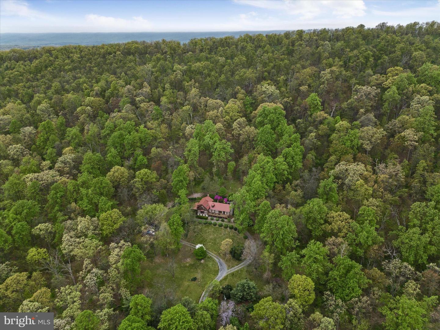 Winchester, Virginia, 22602, United States, 4 Bedrooms Bedrooms, ,4 BathroomsBathrooms,Residential,Active,1771431