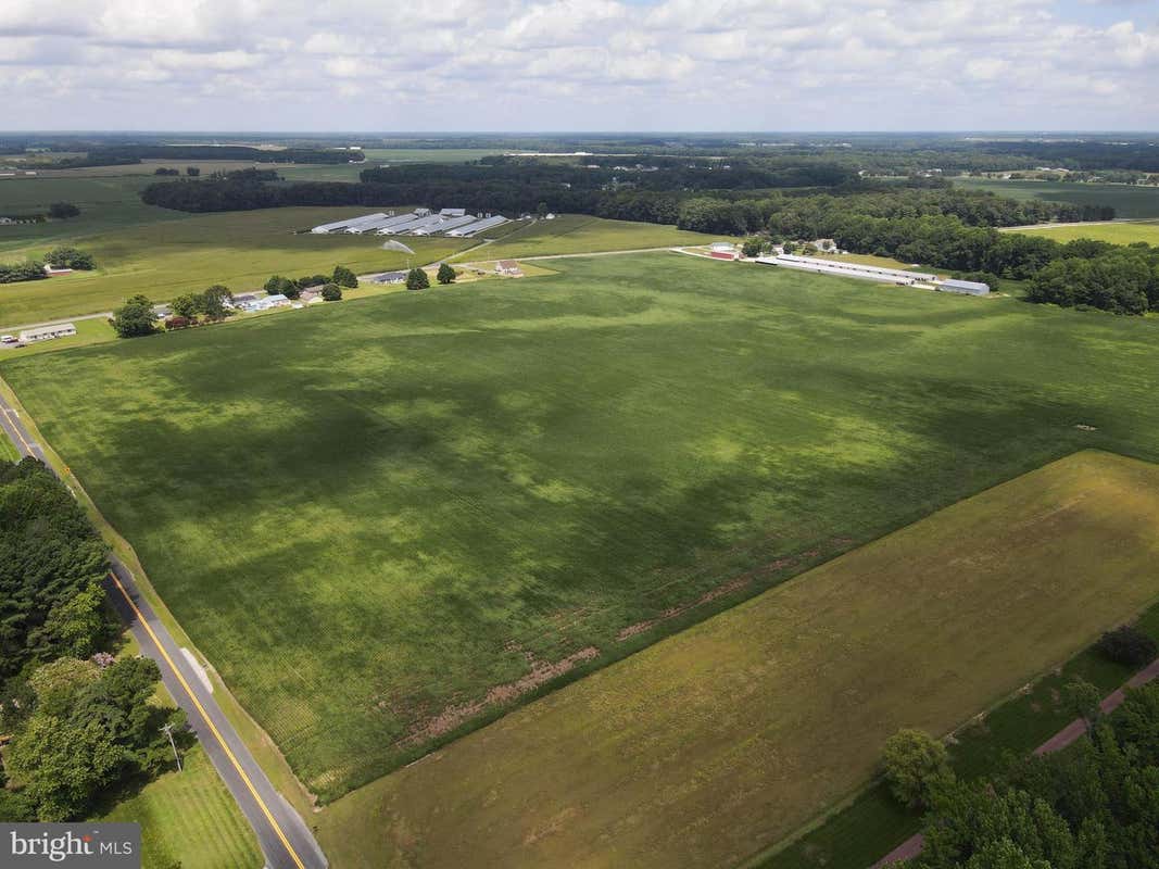 LOT 2 WOODLAND FERRY ROAD, SEAFORD, DE 19973, photo 5 of 7