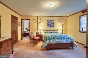 Property 24