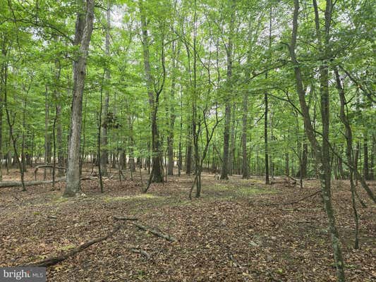 6.38 AC SIDELING MOUNTAIN TRL - LOT 64, GREAT CACAPON, WV 25422 - Image 1