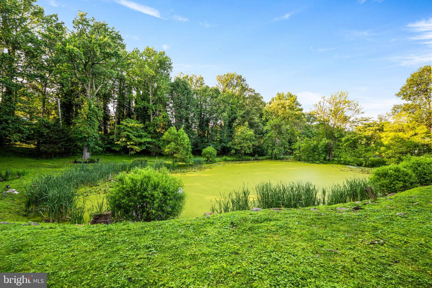 Wallingford, Pennsylvania, 19086, United States, 5 Bedrooms Bedrooms, ,6 BathroomsBathrooms,Residential,Active,1869134