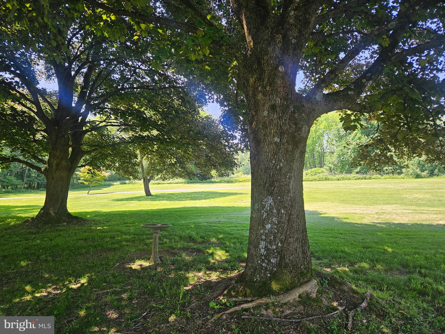 Long Valley, New Jersey, 07853, United States, 4 Bedrooms Bedrooms, ,4 BathroomsBathrooms,Residential,Active,1968372