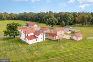 Property 51