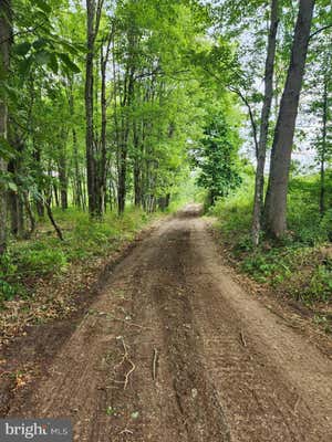 OLD DURHAM RD, PIPERSVILLE, PA 18947 - Image 1