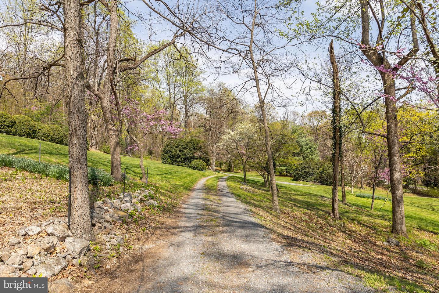 Winchester, Virginia, 22602, United States, 4 Bedrooms Bedrooms, ,4 BathroomsBathrooms,Residential,Active,2041509