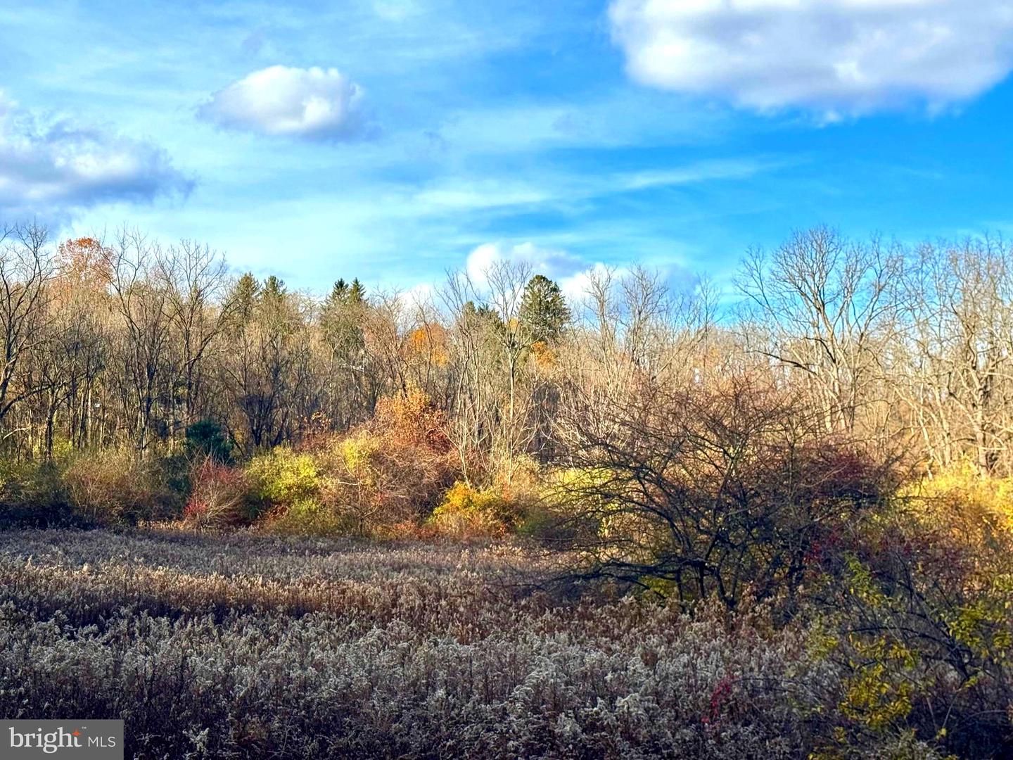 State College, Pennsylvania, 16801, United States, 4 Bedrooms Bedrooms, ,4 BathroomsBathrooms,Residential,Active,1988791