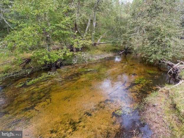 Hammonton, New Jersey, 08037, United States, 5 Bedrooms Bedrooms, ,6 BathroomsBathrooms,Residential,Active,1954441