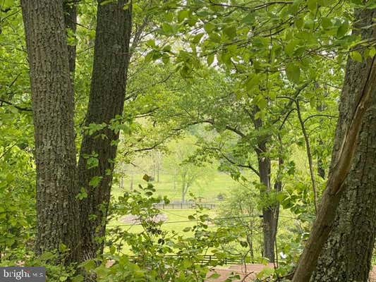 NEW MOUNTAIN ROAD, ALDIE, VA 20105, photo 4 of 7