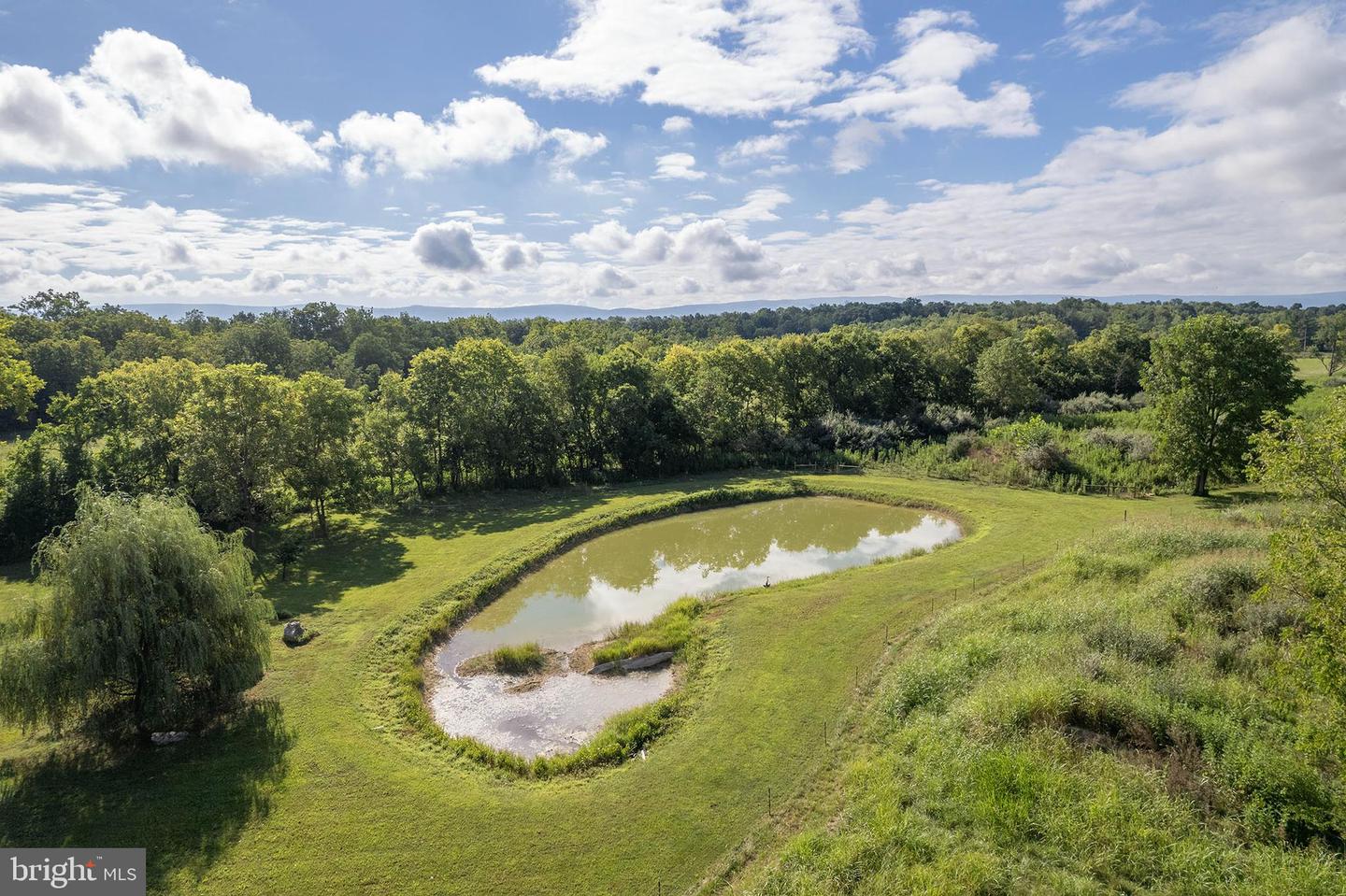 Berryville, Virginia, 22611, United States, 4 Bedrooms Bedrooms, ,4 BathroomsBathrooms,Residential,Active,1945547