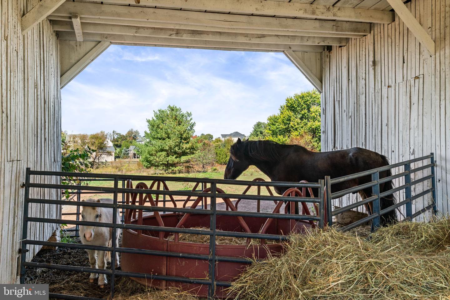Leesburg, Virginia, 20175, United States, 4 Bedrooms Bedrooms, ,5 BathroomsBathrooms,Residential,Active,2011862