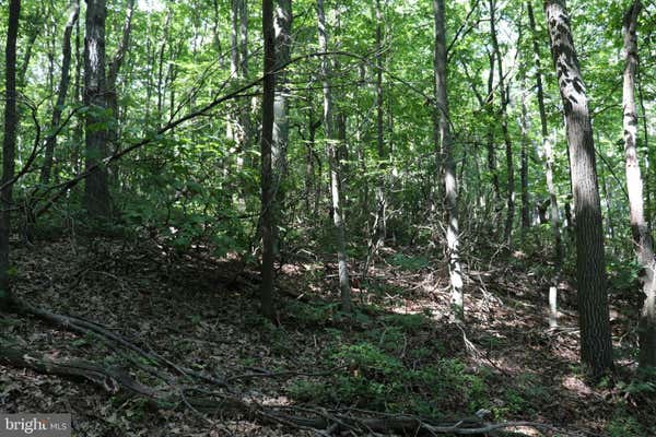 LOT 319 RIDGE RUN, CLAYSBURG, PA 16625, photo 4 of 4