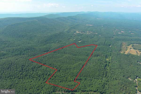 181.67 ACRES OFF BACK CREEK ROAD, HIGH VIEW, WV 26808 - Image 1