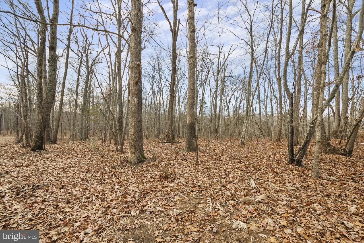 Marshall, Virginia, 20115, United States, 3 Bedrooms Bedrooms, ,2 BathroomsBathrooms,Residential,Active,2011423