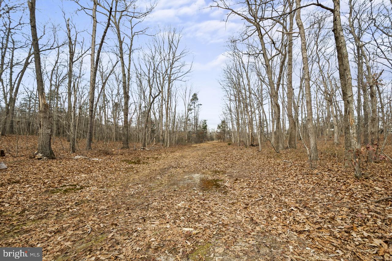 Marshall, Virginia, 20115, United States, 3 Bedrooms Bedrooms, ,2 BathroomsBathrooms,Residential,Active,2011423