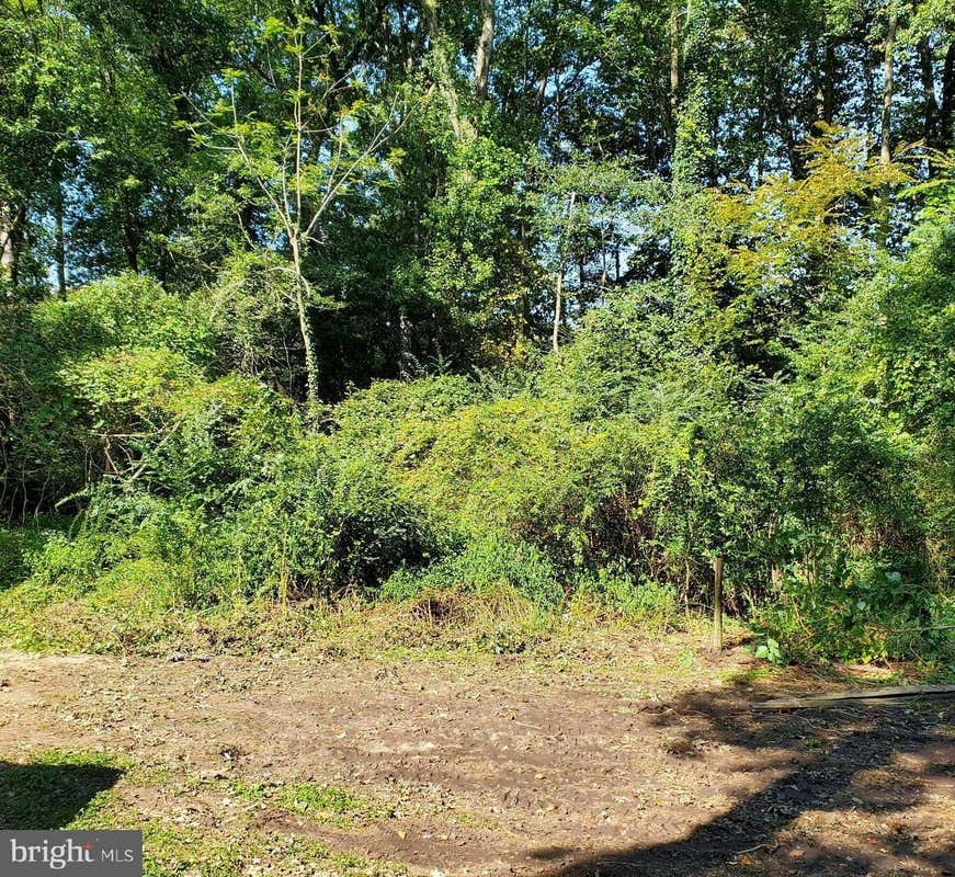 LOT 5.12 BEACH HIGHWAY (RT 16), ELLENDALE, DE 19941, photo 1 of 2