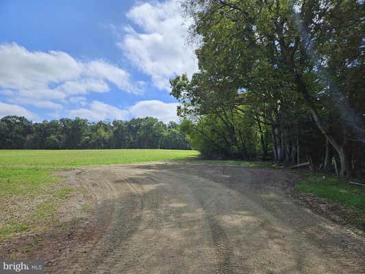 MAPLE SHADE LANE, CULPEPER, VA 22701 - Image 1