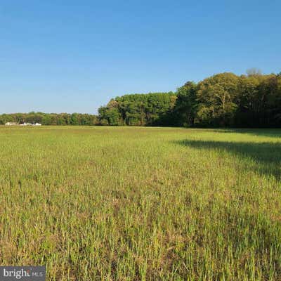 ANDERSON RESIDUAL LOT ANDERSON RD, MAGNOLIA, DE 19962, photo 3 of 5