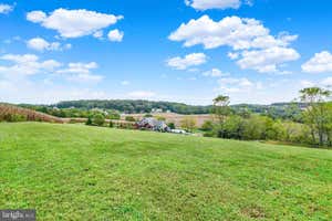 Property 61