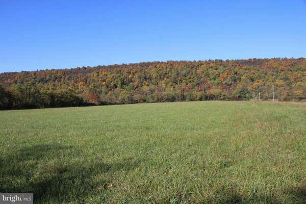 FROG HOLLOW ROAD, WINCHESTER, VA 22603, photo 2 of 62