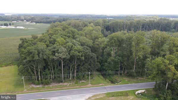 18.271 AC., TRACT 5 SHORTLY RD., GEORGETOWN, DE 19947 - Image 1