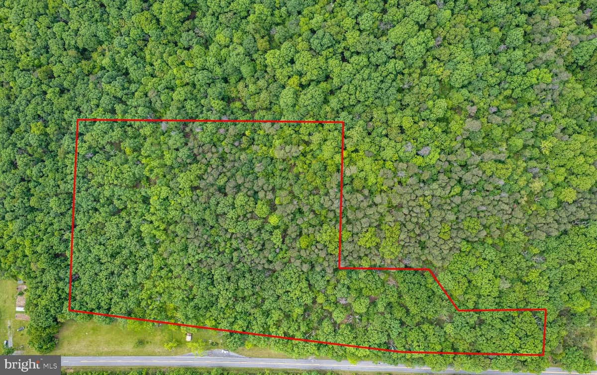 LOT 1 N TIMBER RIDGE ROAD, CROSS JUNCTION, VA 22625, photo 1 of 10