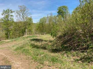 60 ACRES SHEIRER ROAD, BUFFALO MILLS, PA 15534, photo 2 of 35