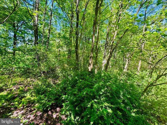 LOT: 43 PARADISE POINT, JAMES CREEK, PA 16657, photo 2 of 8