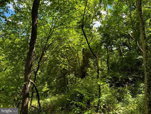 SOUTH FORK ROAD, MOOREFIELD, WV 26836, photo 4 of 13