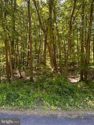 0 KLINE HOLLOW RD LOT 1, LIVERPOOL, PA 17045 - Image 1