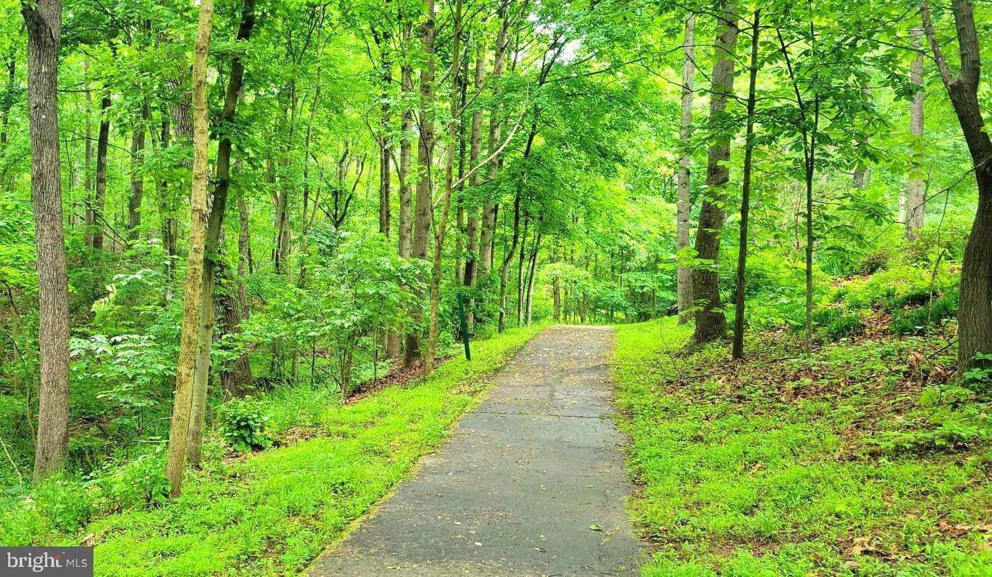 Gainesville, Virginia, 20155, United States, 4 Bedrooms Bedrooms, ,5 BathroomsBathrooms,Residential,Active,2023879