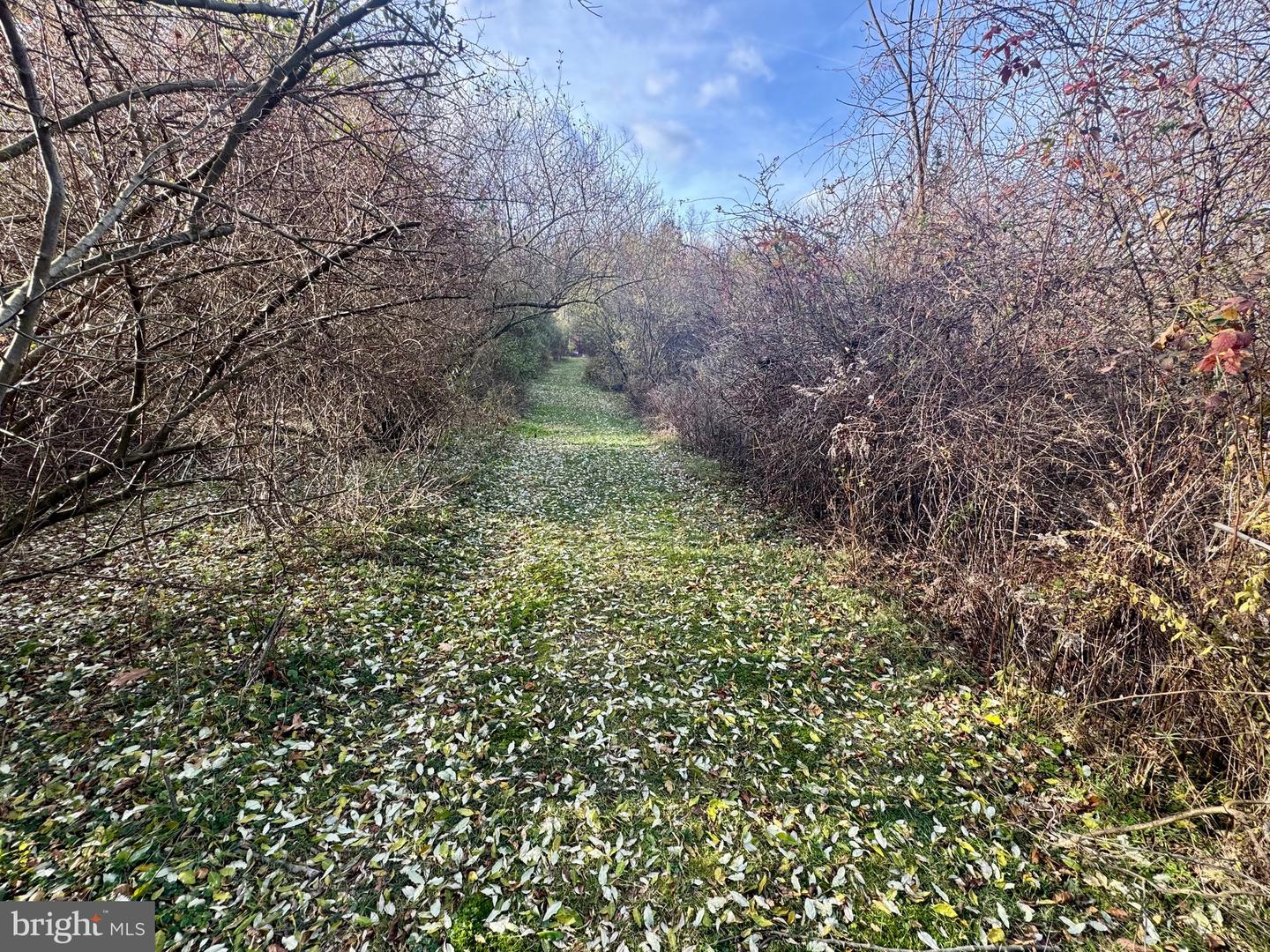 State College, Pennsylvania, 16801, United States, 4 Bedrooms Bedrooms, ,4 BathroomsBathrooms,Residential,Active,1988791