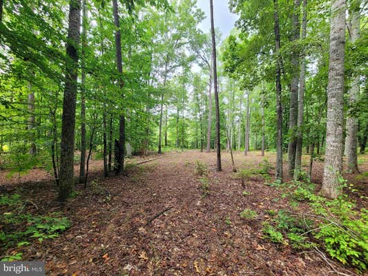 LOT 3 NARROW PATH WAY, BOWLING GREEN, VA 22427 - Image 1