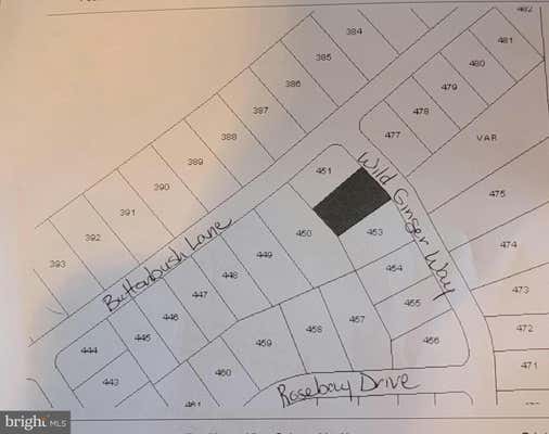 LV LOT 452 WILD GINGER WAY, HAZLE TOWNSHIP, PA 18202, photo 5 of 5