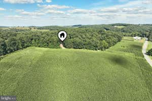 Property 61