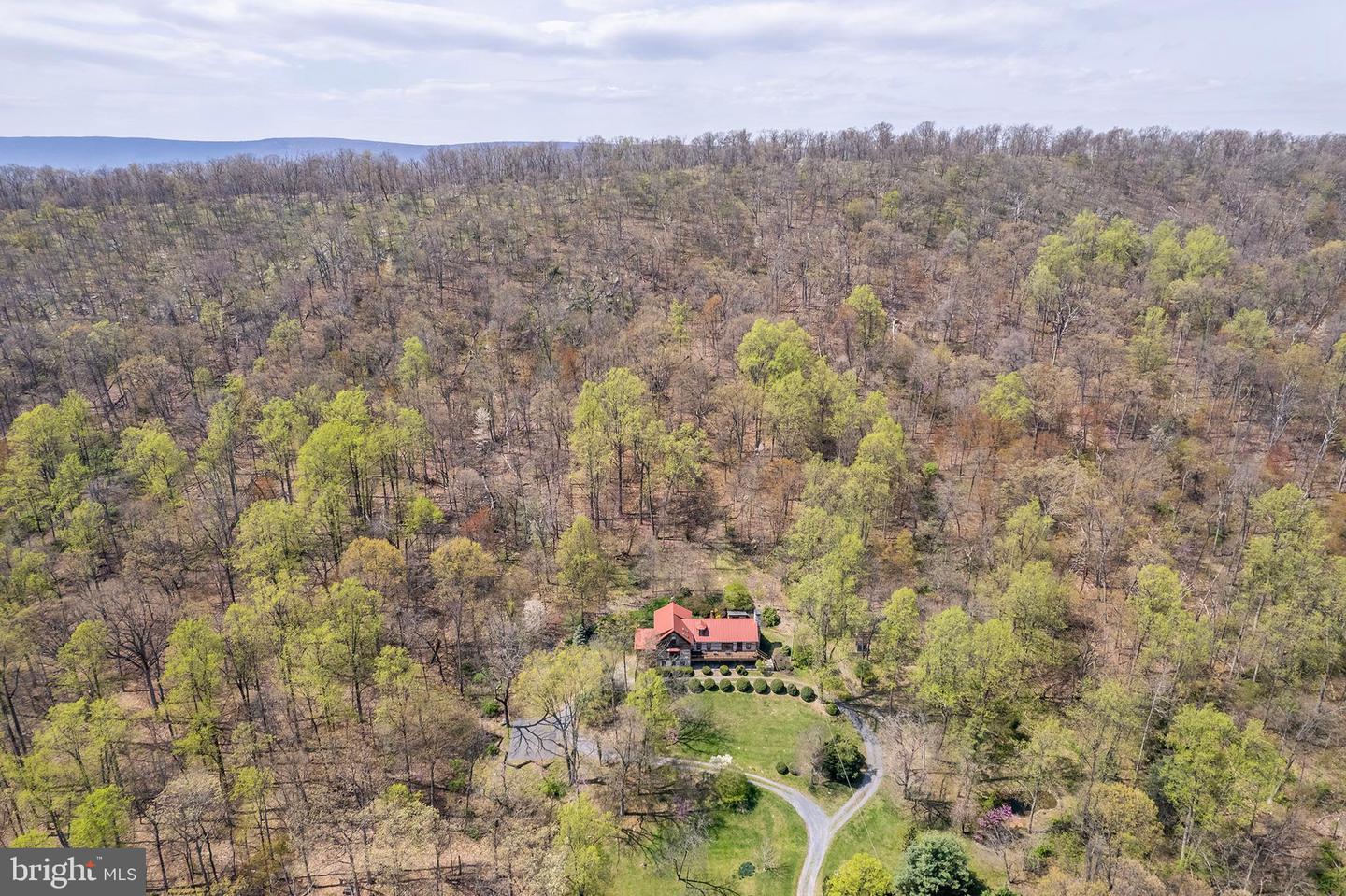 Winchester, Virginia, 22602, United States, 4 Bedrooms Bedrooms, ,4 BathroomsBathrooms,Residential,Active,1771431