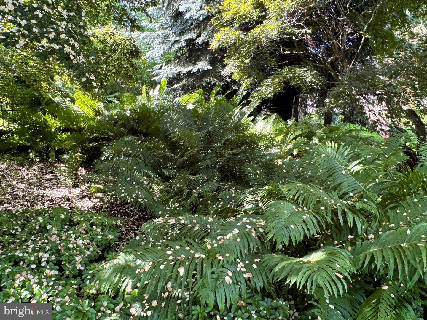 State College, Pennsylvania, 16803, United States, ,3 BathroomsBathrooms,Residential,Active,1867930