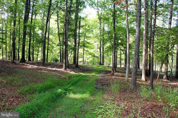 LOT 135 RIVER BEND DRIVE, PAW PAW, WV 25434 - Image 1