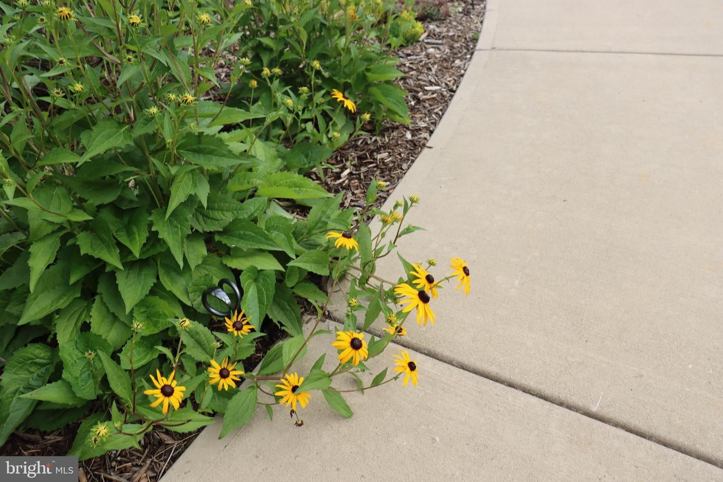 Bumpass, Virginia, 23024, United States, 1 Bedroom Bedrooms, ,2 BathroomsBathrooms,Residential,Active,1953381