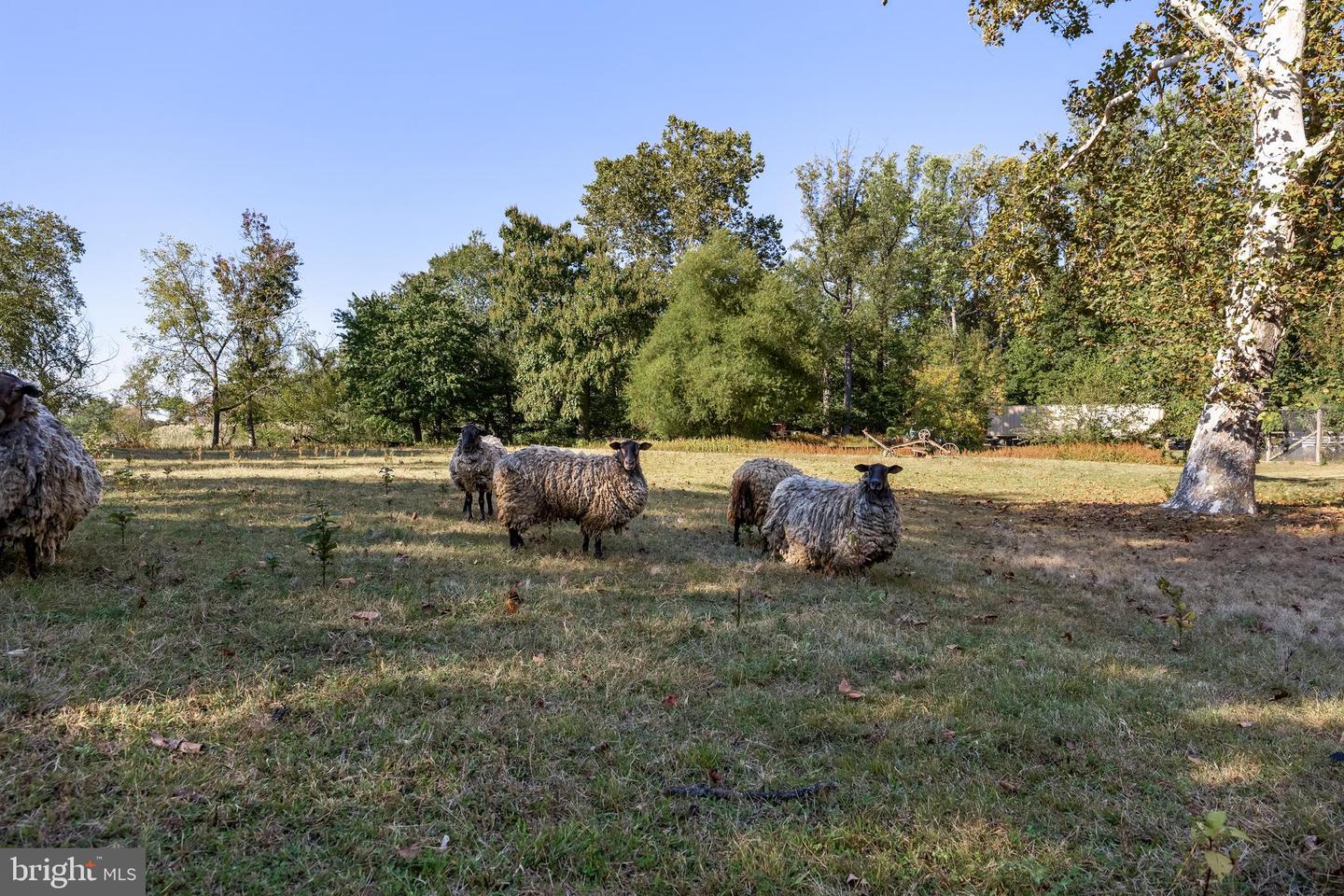 Delanco, New Jersey, 08075, United States, 5 Bedrooms Bedrooms, ,3 BathroomsBathrooms,Residential,Active,1914605