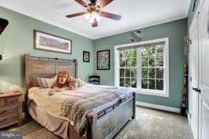 Property 37