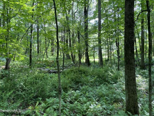 0 BEARTOWN MOUNTAIN RD, MONTEREY, MA 01245 - Image 1