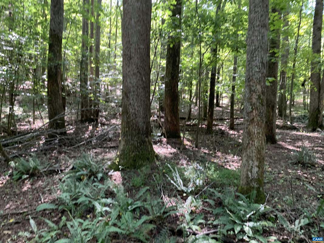 LOT 2 GREEN CREEK RD, OLD DOMINION, VA 22969, photo 1