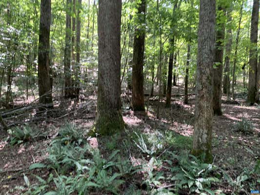 LOT 2 GREEN CREEK RD, OLD DOMINION, VA 22969 - Image 1